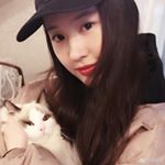 刘亦菲 Instagram头像